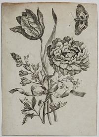[Bouquet with tulip and carnation, tied with a ribbon, with butterfly.]