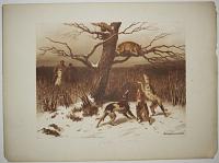 [First Snow - Treeing the Lynx.]