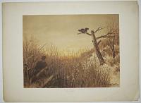[Hunting the Wild Turkey.]