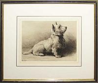 [West Highland Terrier.]