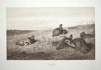 Partridge.