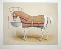 [Untitled plate of a horse wearing blankets with matching hood.]