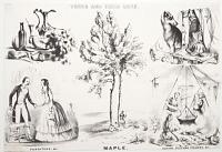 Trees and their Uses. Maple.