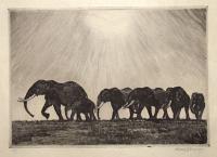 [Elephants.]