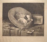 [A puppy asleep inside a gambler's hat.]
