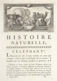 Histoire Naturelle.  L'&Eacute;l&eacute;phant.