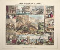 Graphic Illustrations Of Animals. Shewing Their Utility To Man In Their Employment During Life And Uses After Death.