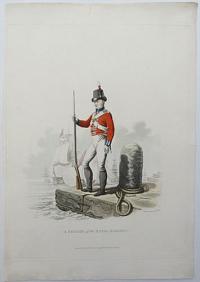 A Private of the Royal Marines.
