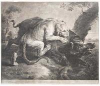 [The Lion and Boar.]