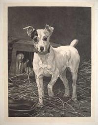 [Terrier and Ferrets.]