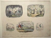 Preservation. An African Settlement. Spoon=bill. Botheration. A Vane Man.