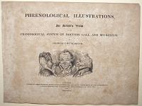 Phrenological Illustrations,