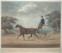 Trotting Match in Harness Against Time.