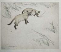 [Two Siamese Cats.]