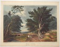 Wood Scene, near Sevenoaks, Kent.