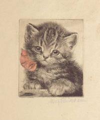 [Kitten with bow.]