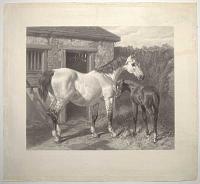 [Fores's Series of the Mothers. Pl. 9. Hunting Mare & Foal.