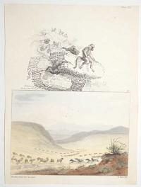 Plate VIII. Baboonon the look out _ The Bontibok Flats. 18. The Game fleeing before the Hunters.