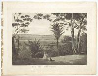 From Amwell - Bury Woods.