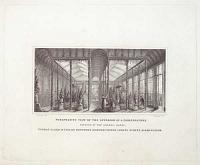 [Northington Grange] Perspective View of the Interior of a Conservatory, Erected at The Grange, Hants.
