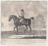 Spark, a famous Hunter which was presented to the Prince of Wales by M.r Fleetwood,