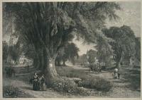 The Village Elms.  Sunday Morning in New England.