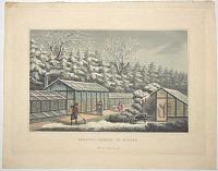 [Greenhouses at Woburn Abbey] Forcing Garden, in Winter.