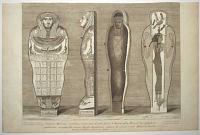 [Coffin of Irtyru, 26th Dynasty, 600-300 BCE] Cadaver Balsamo conditum;