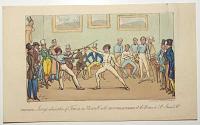 Fencing.