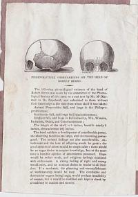 Phrenological Observations on the Head of Robert Burns.