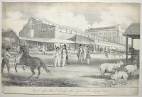 Royal Agricultural Society's Show Yard, at Bristol. July 14th 1842.