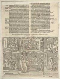The description of the poisoning of king John by a moonke of Swinstead abbeie in Lincolnshire.
