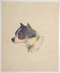 [A terrier's head] "Duke" [pencil].