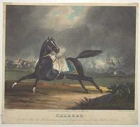 [Jack Shaw] Charger On which Shaw the Life Guardsman so much distinguished himself, at the Battle of Waterloo.