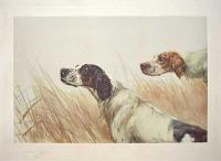 [''A High Scent'' - two setters.]