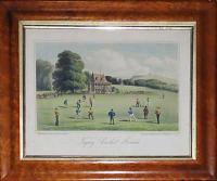 Torquay Cricket Ground.