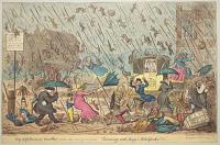 Very unpleasant Weather, or the old saying verified ''Raining Cats, Dogs & Pitchforks.''!!!