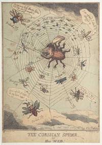 The Corsican Spider in his Web.