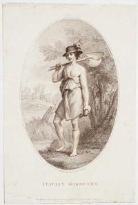 Italian Gardener.