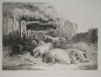 [A sow and three piglets in a sty.]