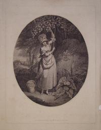 [A Village Girl Gathering Nuts.]