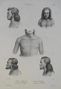 Tikopia. 1. Pakav&eacute;, 1er. chef de l'&icirc;le. 2. J&ocirc;o lascar du Bengale. 3.4. Naturels de Tikopia. 5. Tatouage de la potrine.