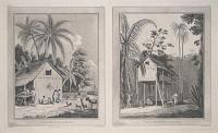 A Village House in Sumatra. [&] A Plantation House in Sumatra.