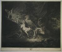 The Death of the Elk,