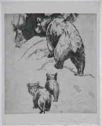 [Bears in Canada.]