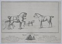 Vazie's Royal Patent
