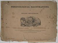 Phrenological Illustrations.
