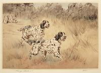 [Pair of English Setters]