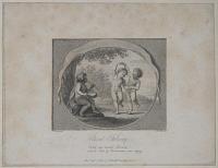 Rural Felicity,