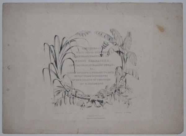 Sketches of West India Scenery with Illustrations of Negro Character. The Process of Making Sugar, &c. Taken during a Voyage to, and Seven Years Residence in the Island of Trinidad.